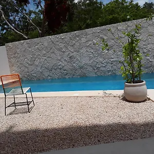 https://posada-tumben-kaa.tulum-hotels.net